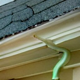 best gutter repair	